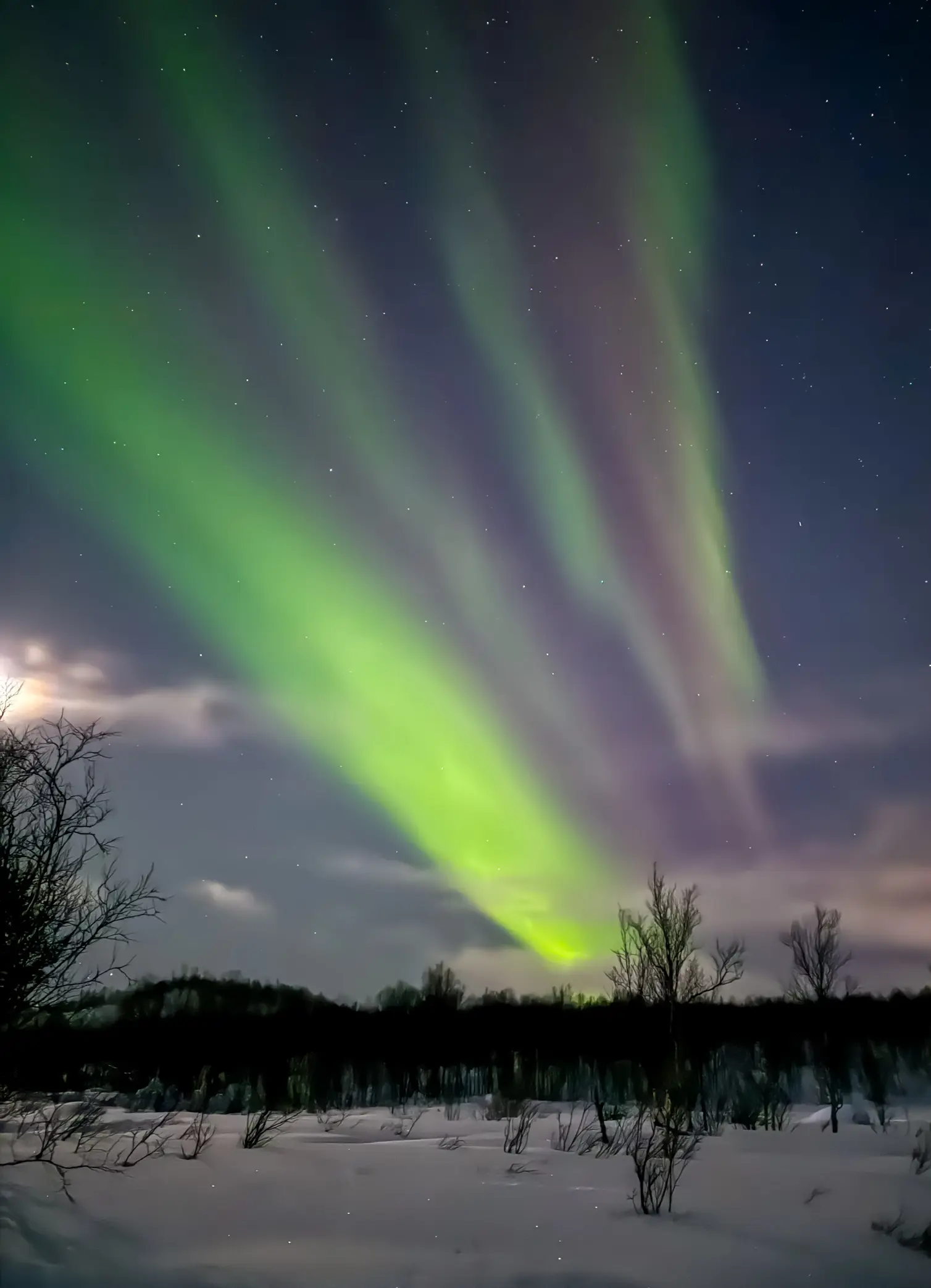 Murmansk Gezi Rehberi