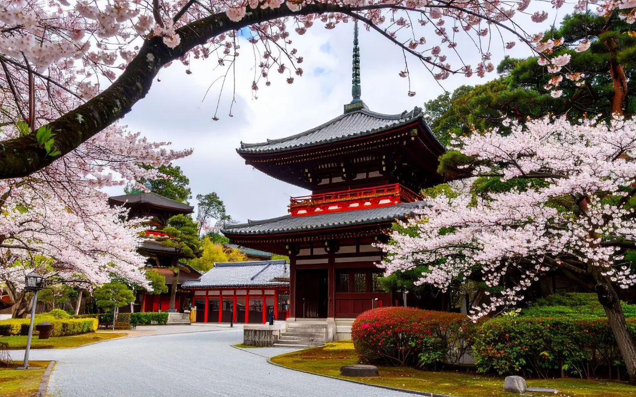 Sakura Döneminde Kore Japonya Gezisi